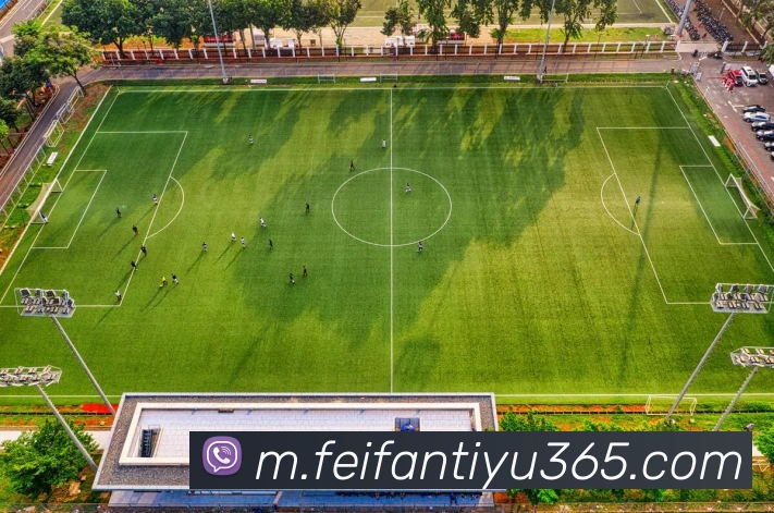 App Interface Preview