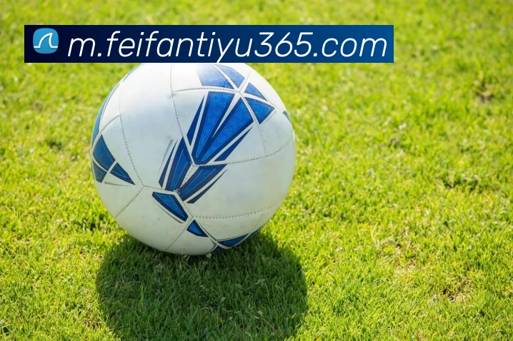 非凡体育APP 封面图